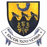 Irish Coat of Arms